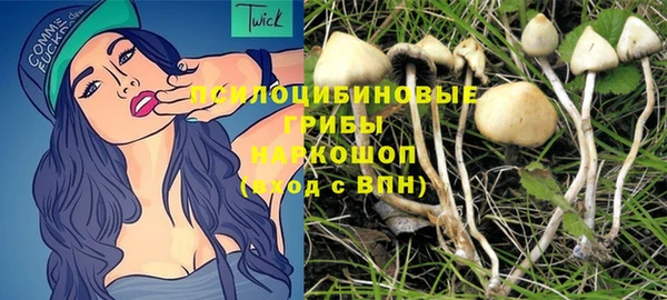 соль курить ск Новодвинск